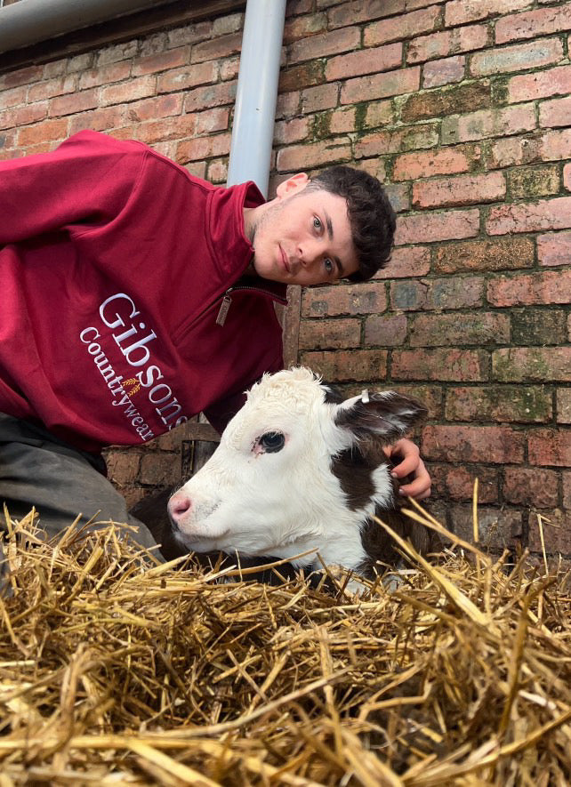 Gibsons 1/4 zips hard at work on the dairy farm 